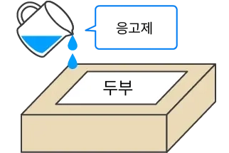 응고